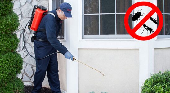 Çardak Böcek İlaçlama böcek ilaçlama ve haşere kontrolü — ilaclama-tr.com